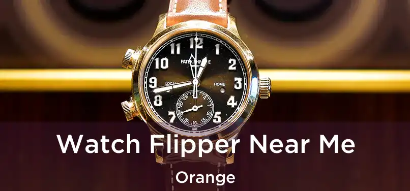 Watch Flipper Near Me Orange